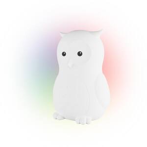 Oliver Owl Multicolor Changing Integrated LED Rechargeable Silicone Night Light Lamp, White
