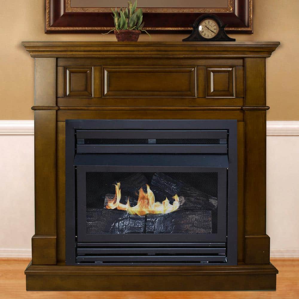 Deluxe 42 Direct-Vent LP Millivolt Fireplace with Blower