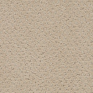 8 in. x 8 in. Pattern Carpet Sample - Pretty Penny -Color Sand Dollar