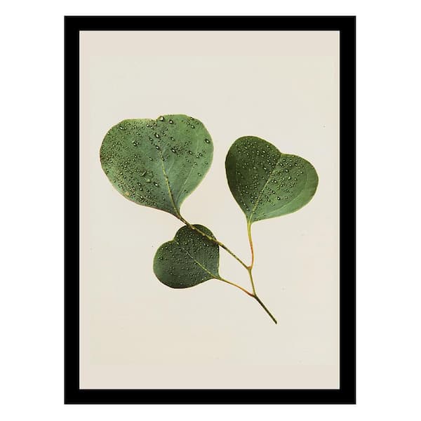 VENICE BEACH Collections Heller Photography LOVE LEAVES Framed Printed Photograph by Steven A. Heller Nature Poster Art Print 18 in. x 14 in.