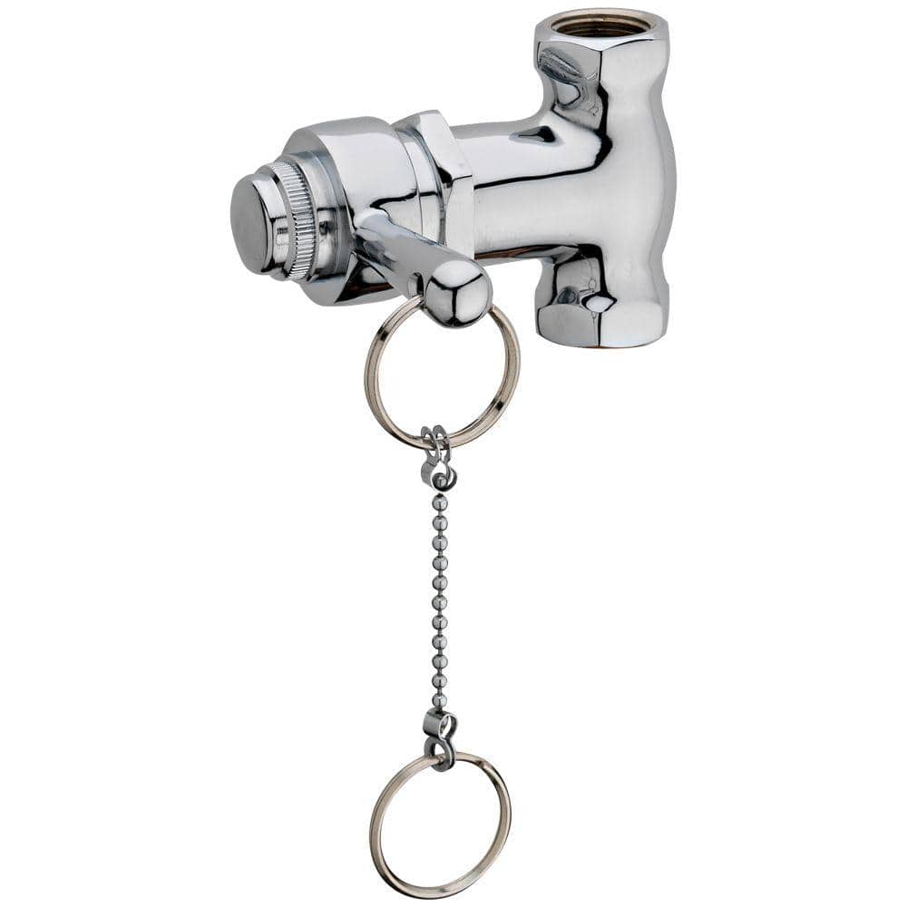 Homewerks Worldwide Self-Closing Shower Valve with Pull Chain, Chrome