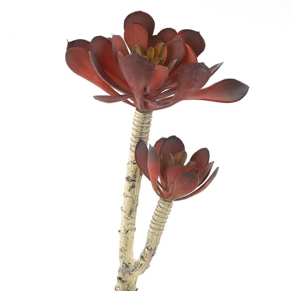 D&W Silks Artificial Indoor Frosty Red Pinwheel Echeveria (Set of 3)