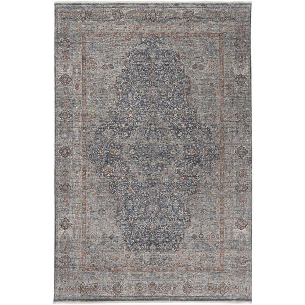 4 ft. x 5 ft. Gray, Blue, Red Oriental Area Rug price history on PriceWatchPro