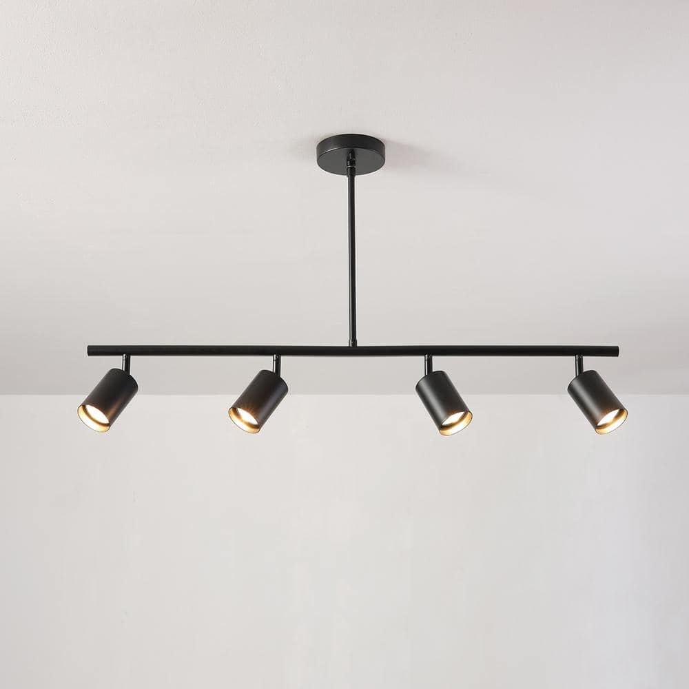 Willard Matte Black 4-Light Adjustable Track Lighting