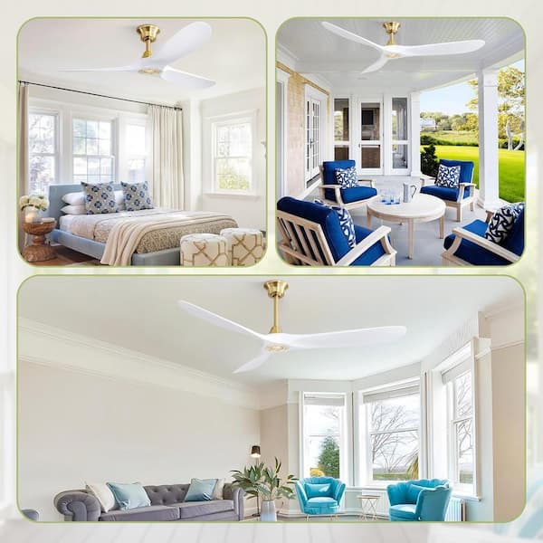 CACI Mall 60 in. Indoor/Outdoor Smart Gold Ceiling Fan without
