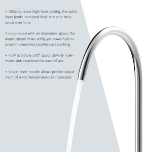 Single Handle Single Hole Bathroom Water Filter Standard Kitchen Faucet in Brushed Nickel