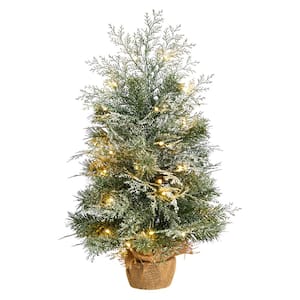 2 ft. Winter Frosted Artificial Christmas Tree with 35 LED Lights in Burlap Base