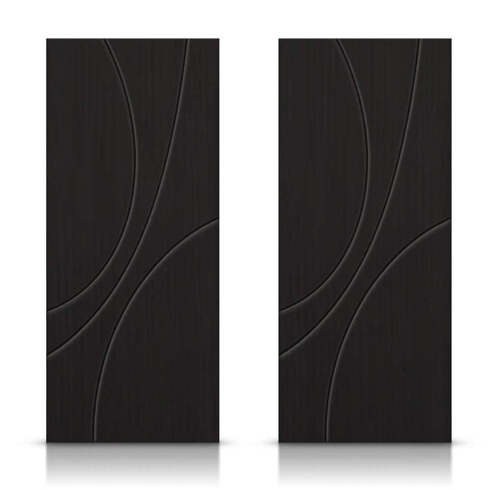 84 in. x 84 in. Hollow Core Black Painted Composite MDF Interior Double Closet Sliding Doors price history on PriceWatchPro