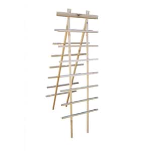 24 in. W x 72 in. H Wood Ladder Trellis Kit
