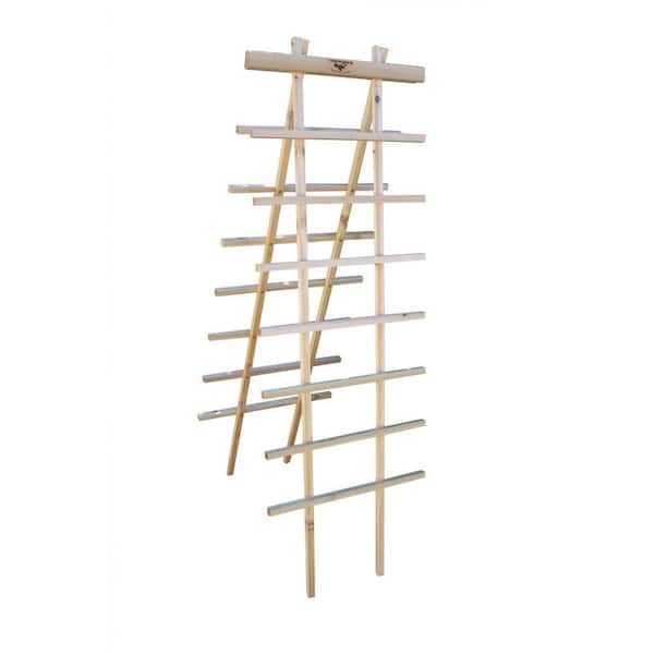 Gronomics 24 in. W x 72 in. H Wood Ladder Trellis Kit