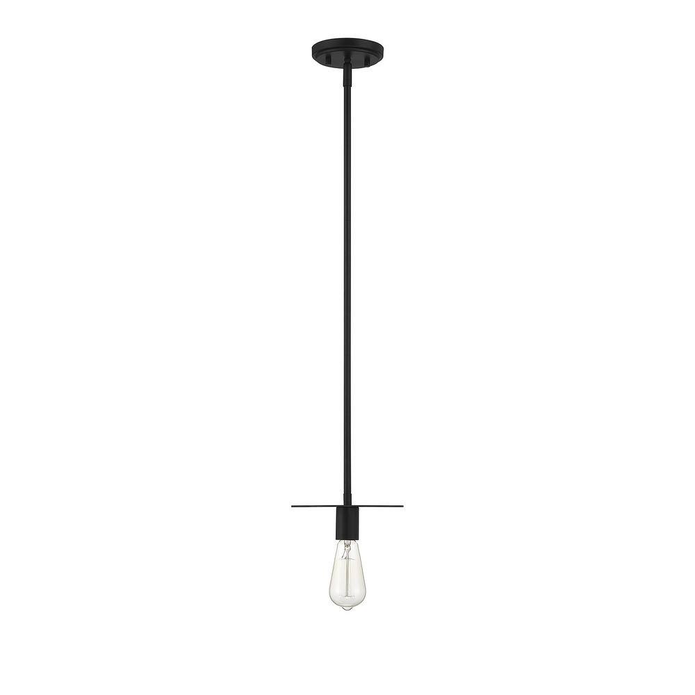 Matte Black Mini Pendant Light with Adjustable Height