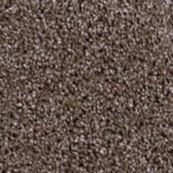 TrafficMaster 8 in. x 8 in. Texture Carpet Sample - Founder -Color Scout