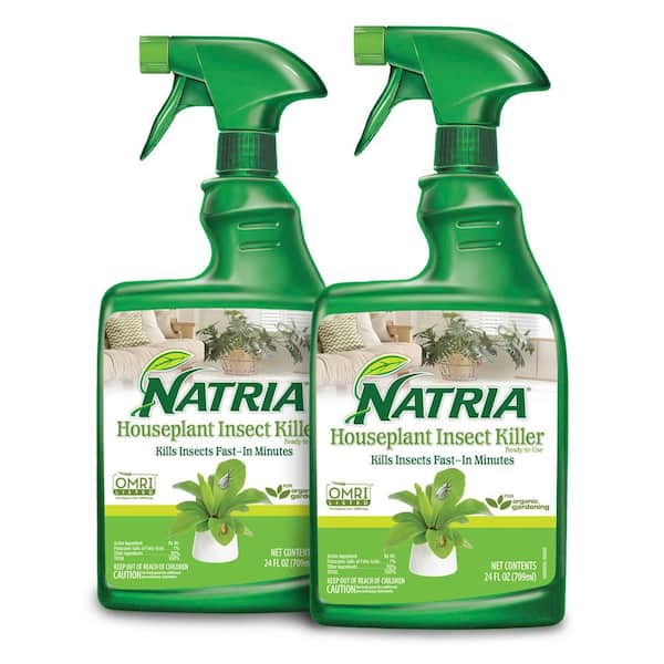 24 oz. Plant Insect Killer Ready To Use (2-Pack)