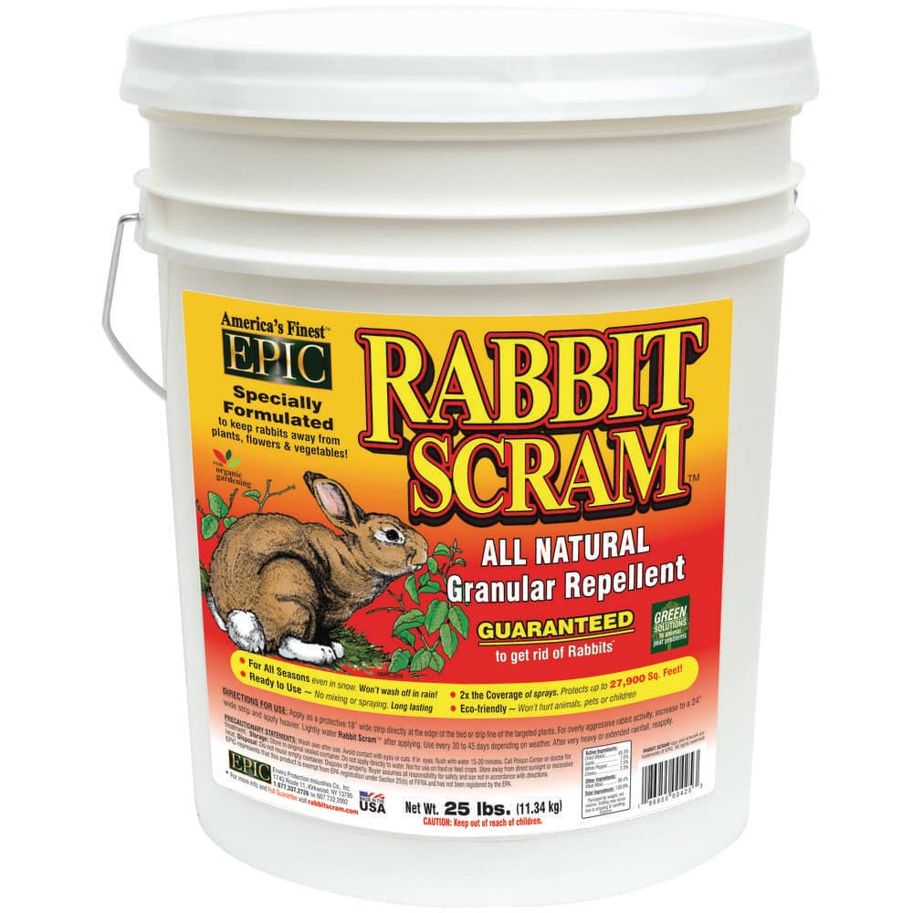 What to Spray on Plants to Keep Rabbits Away: Effective Natural Repellents