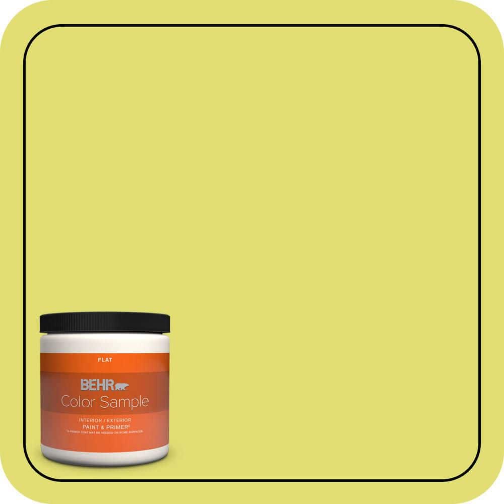 8 oz. #400B-4 Citron Flat Interior/Exterior Paint & Primer Color Sample price history on PriceWatchPro