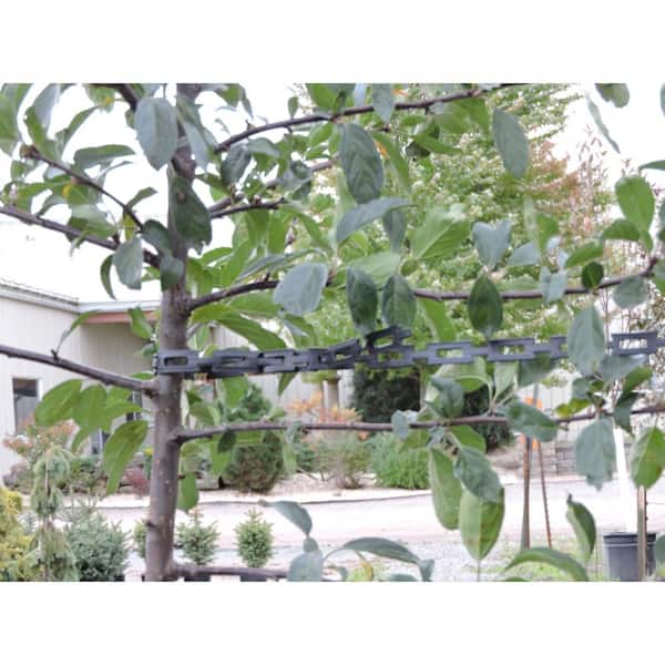 1/2 In x 100 Ft Tree Plant Support Tie Chain Outdoor Lawn Landscape Protect NEW 