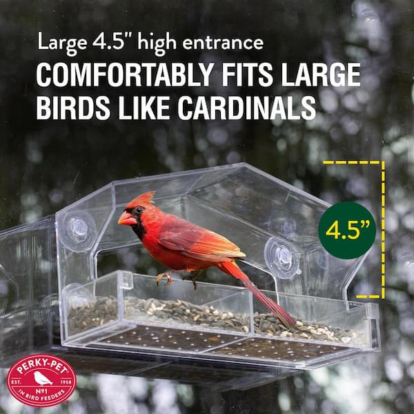 Clear Window Bird Feeder  Perfect Place for Birds Visiting