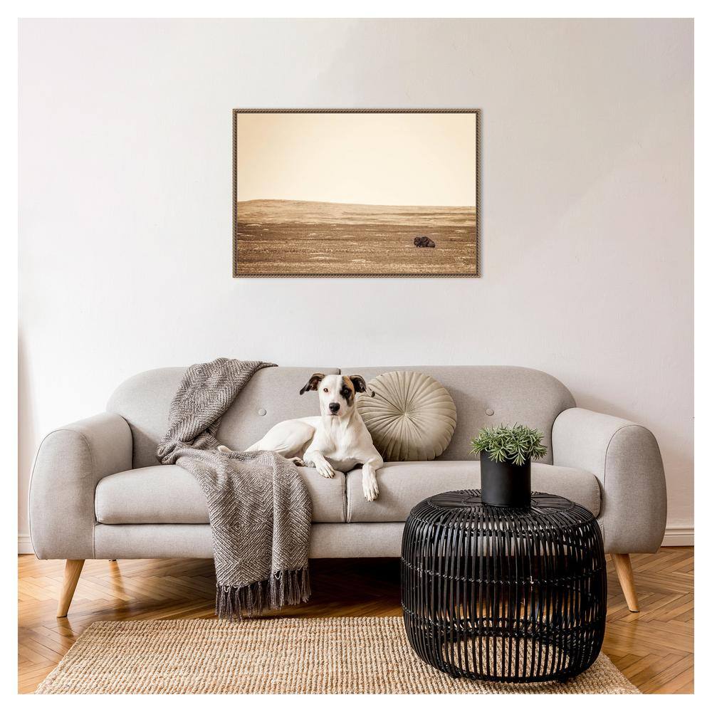 33" x 23" Sepia Bison Landscape Framed Canvas Wall Art