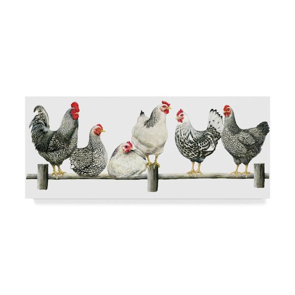 Trademark Fine Art Janet Pious 'Hens, White Background' Canvas Unframed Photography Wall Art 14 in. W. x 32 in
