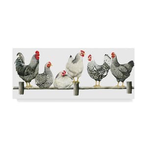 Janet Pious 'Hens, White Background' Canvas Unframed Photography Wall Art 14 in. W. x 32 in