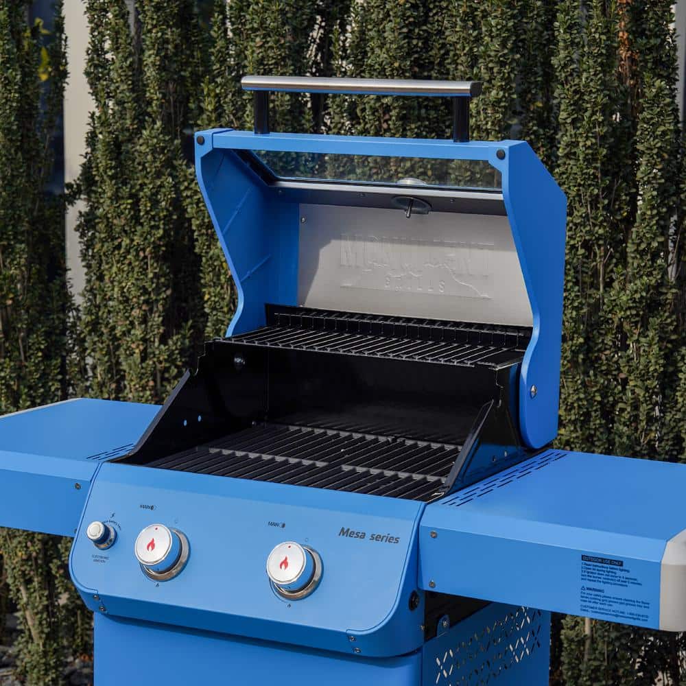 Blue 2-Burner Propane Gas Grill with Clear View Lid