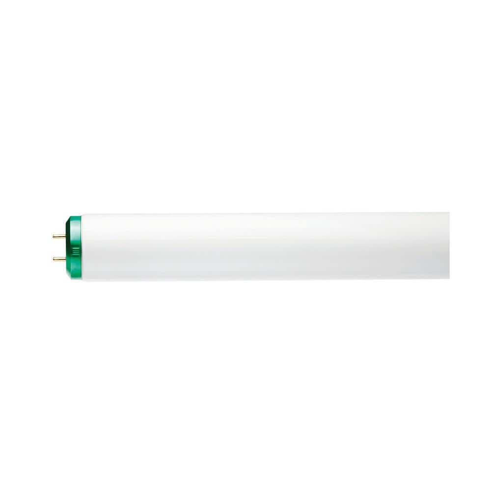 2 ft deals fluorescent light