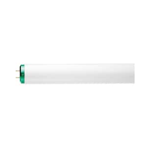 20-Watt 2 ft. Linear T12 Fluorescent Tube Light Bulb Cool White (4100K) (1-Pack)