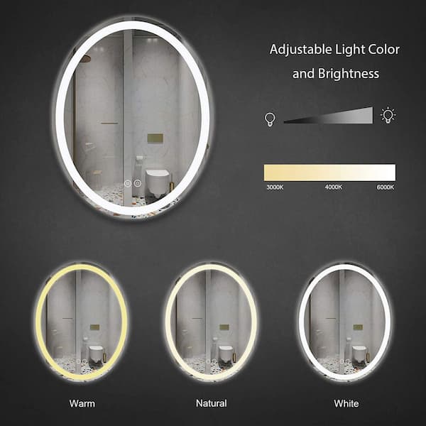 28 in. W x 36 in. H Oval Frameless LED Light Anti Fog Wall Bathroom Vanity Mirror Front Light and Backlit