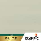 Elite 8 oz. Avalanche Solid Advanced Exterior Wood Stain Sample