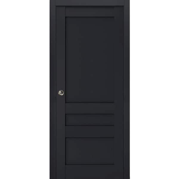 Sartodoors 24 in. x 80 in. 1 Panel Black Finished Solid Wood Sliding Door with Hardware