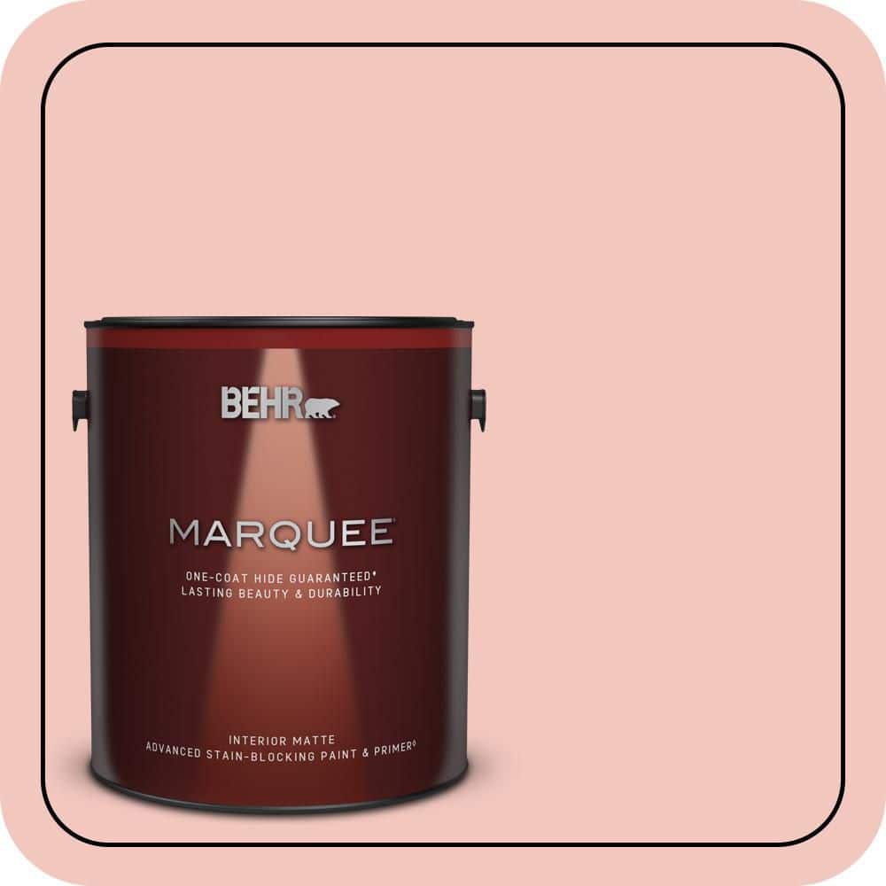 1 gal. #M170-2 Prairie Rose Matte Interior Paint & Primer price history on PriceWatchPro