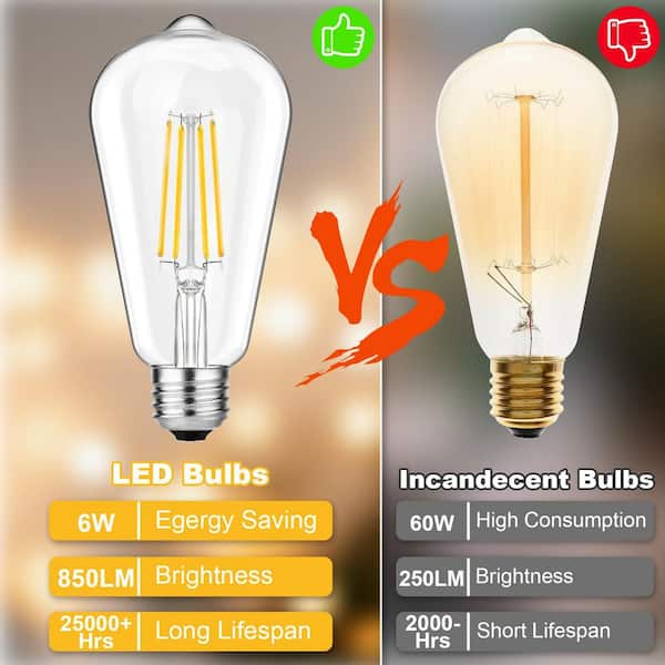 ZXXC Clear Glass Style 60-Watt Equivalent ST58 Soft White (2700K