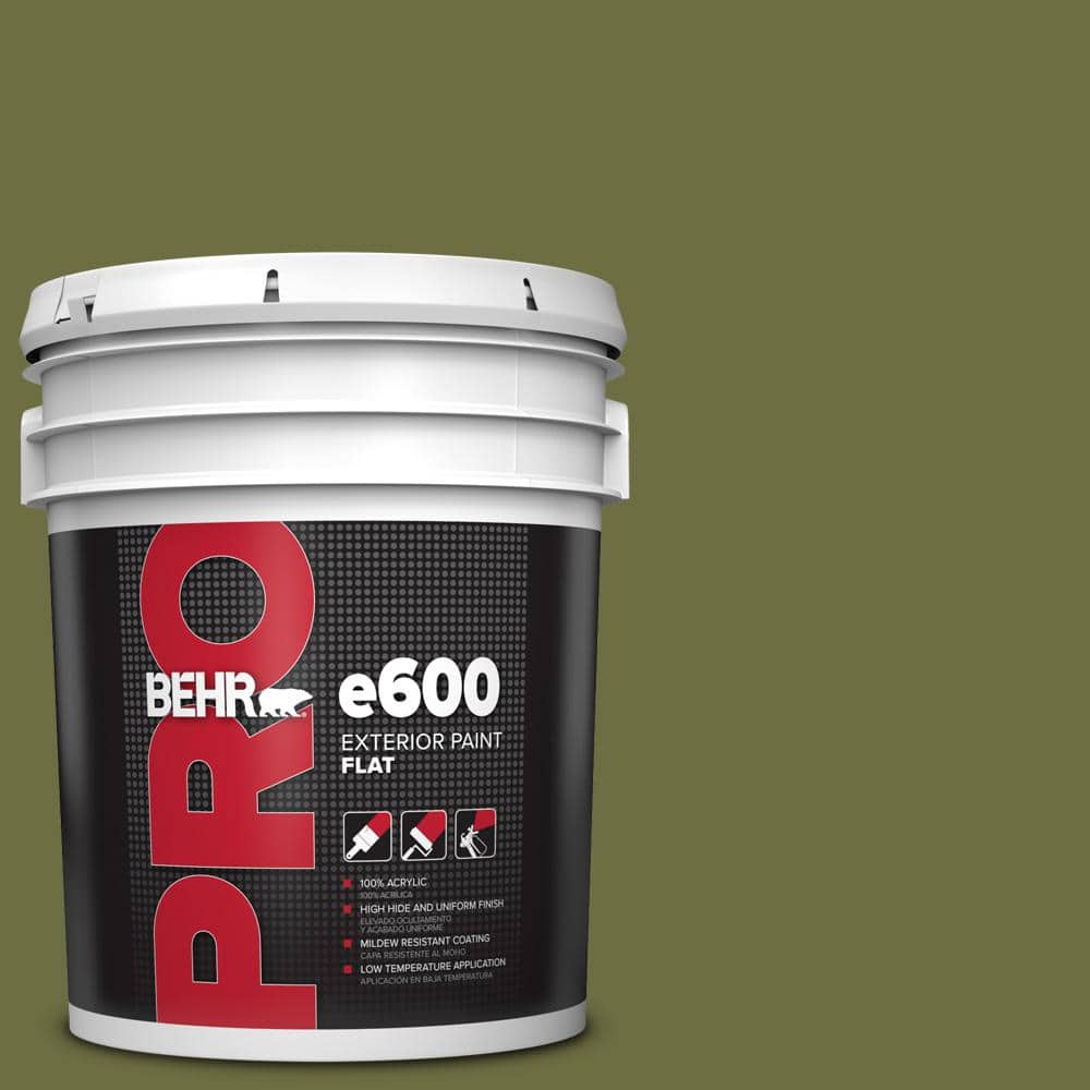 5 gal. #400D-7 Jungle Trail Flat Exterior Paint price history on PriceWatchPro