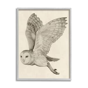 Flying Barn Owl Wings Detailed Monochrome Drawing By Grace Popp Framed Animal Art Print 14 in. x 11 in.