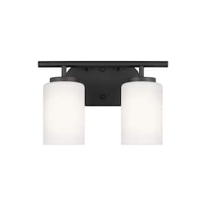 Oslo 12.5 in. 2-Light Midnight Black Transitional Contemporary Bathroom Vanity Light with Cased Opal Etched Glass Shades
