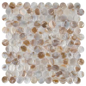 Conchella Penny Natural 11-1/4 in. x 11-5/8 in. Natural Shell Mosaic Tile (0.93 sq. ft./Each)
