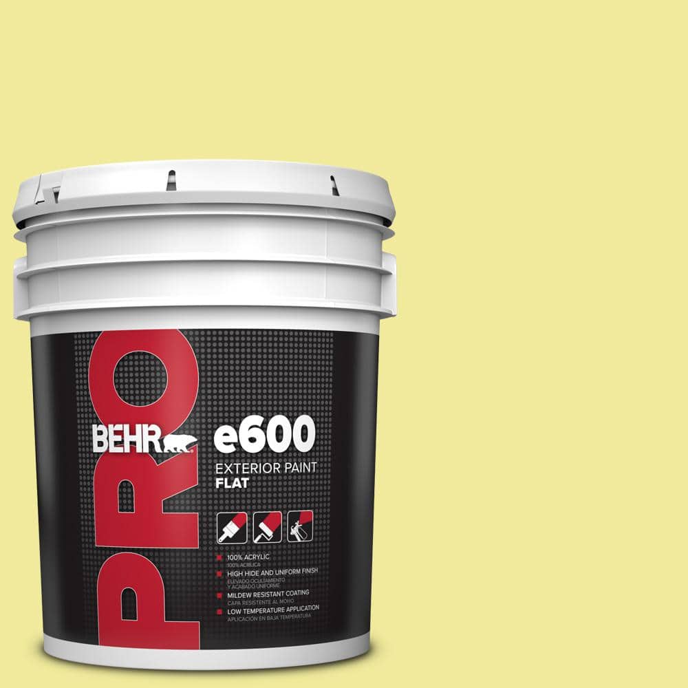 5 gal. #400A-3 Pear Flat Exterior Paint price history on PriceWatchPro