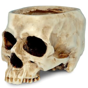 Resin Halloween Skull Candy Bowl for Home, Office and Desk Decorations, White