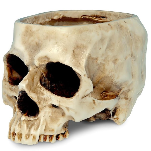 Angel Sar Resin Halloween Skull Candy Bowl for Home, Office and Desk Decorations, White