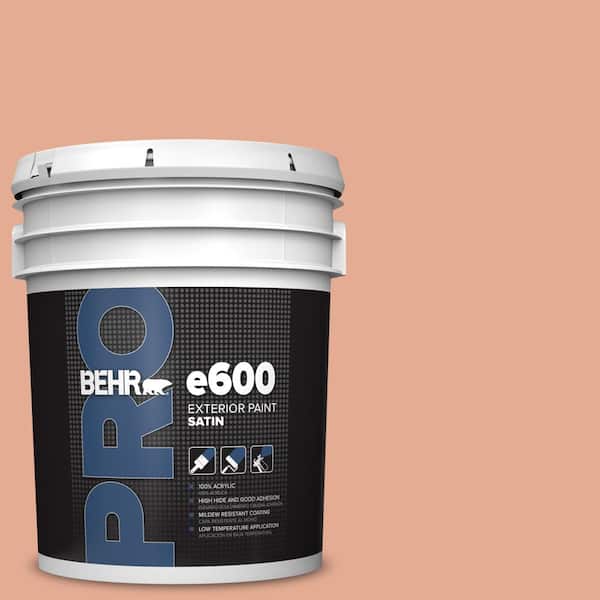 BEHR PRO 5 gal. #M200-4 Coral Cloud Satin Exterior Paint