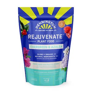 4 lbs. Rejuvenate Evergreen and Azalea Plant Food 4-3-3