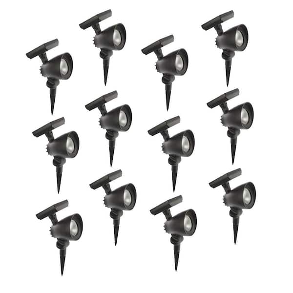 55 Lumens Black LED Outdoor Solar Spotlight with Adjustable Head (12-Pack)