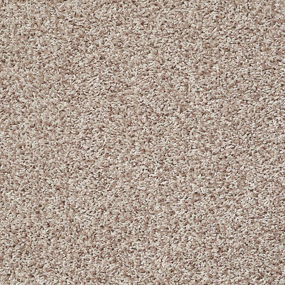 8 in. x 8 in. Twist Carpet Sample - Charming - Color Scone price history on PriceWatchPro