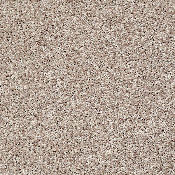 TrafficMaster 8 in. x 8 in. Twist Carpet Sample - Charming - Color Scone
