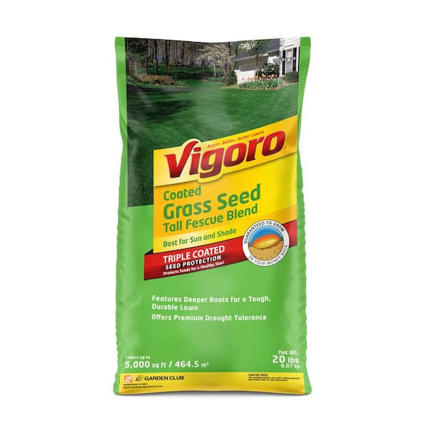 Vigoro 20 lbs. Tall Fescue Grass Seed Blend