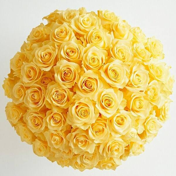 Globalrose Fresh Yellow Roses for Valentine's Day (100 Stems)