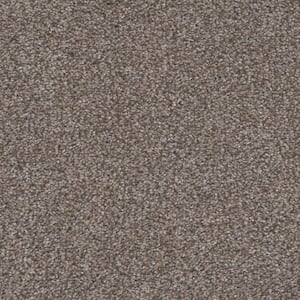Gilbert Park I - Bungalow - Beige 48 oz. Polyester Texture Installed Carpet