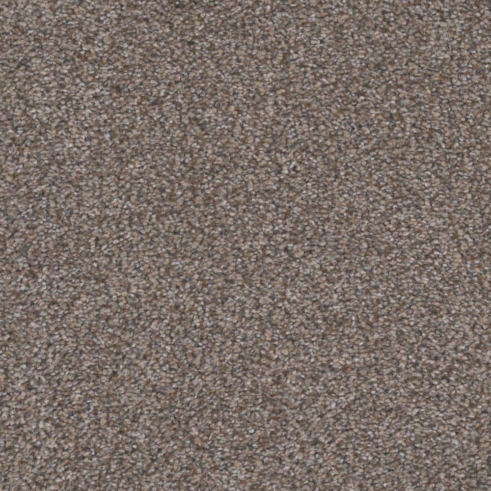 8 in. x 8 in. Texture Carpet Sample - Gilbert Park I -Color Bungalow
