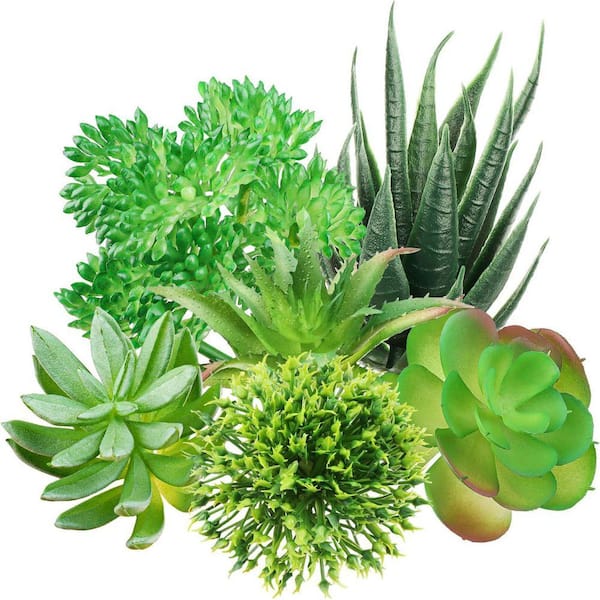 Unbranded 3.5 in. Green 6 Piece Artificial Succulent Plants Indoor Outdoor  Mini Faux Greenery for Home Office Wall Craft 59B1124C1940