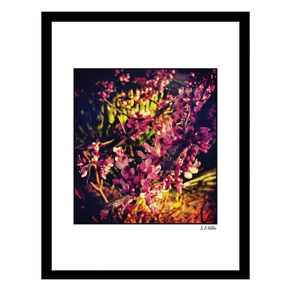 Heller Photography FLOWERS JUNGLE Framed Printed Photograph by Steven A. Heller Nature Poster Art Print 18 in. x 14 in. price history on PriceWatchPro